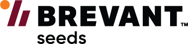 Brevant Seeds